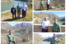 هیچ موردی از آنفلوانزای پرندگان در پاوه مشاهده نشد /گشت مشترک در اطراف سد و رودخانه سیروان