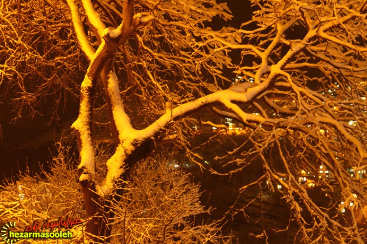 تصاویری از یک شب برفی در شهرستان پاوه