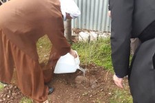 کاشت دو اصله نهال توسط امام جمعه پاوه