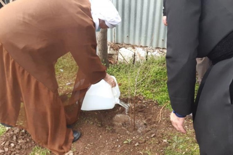 کاشت دو اصله نهال توسط امام جمعه پاوه