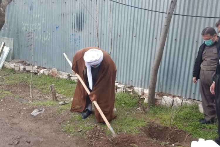 کاشت دو اصله نهال توسط امام جمعه پاوه + تصاویر