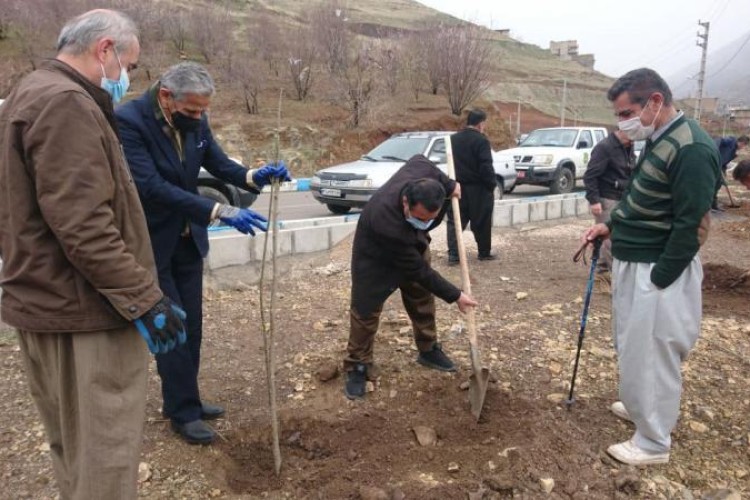 کاشت ۳۴۰۰ اصله نهال در پاوه