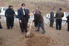 گزارش تصویری از کاشت ۳۴۰۰ اصله نهال در پاوه