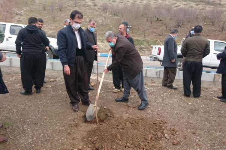 گزارش تصویری از کاشت ۳۴۰۰ اصله نهال در پاوه