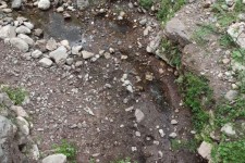 خشک شدن ۱۷ چشمه اصلی و فصلی روستای هانی گرمله