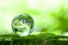 روز جهانی زمین پاک با شعار احیای زمین، افزایش بهره وری برای توسعه پایدار