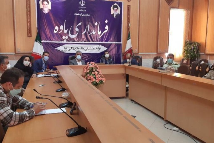 امروز در بیمارستان پاوه ۴۵ نفر بیماران کرونایی بستری هستند/ بیشترین آلودگی ما از بیماری کرونا در شهرستان از دورهمی هاست