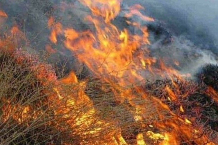 وقوع اتش سوزی در محل پشت باغات زبار نودشه