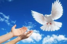 آئین مردمان این دیار مهربانی است /جمع آوری بیش از ۸۷ میلیون تومان در جشن گلریزان پاوه و اورامانات