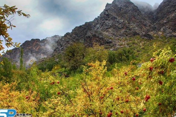 داریان؛ روستایی صادرکننده در دل کوه‌های پاوه