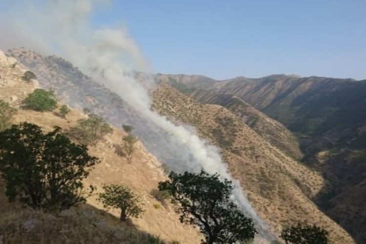 آتش سوزی در منطقه حفاظت شده مرخیل مهار شد