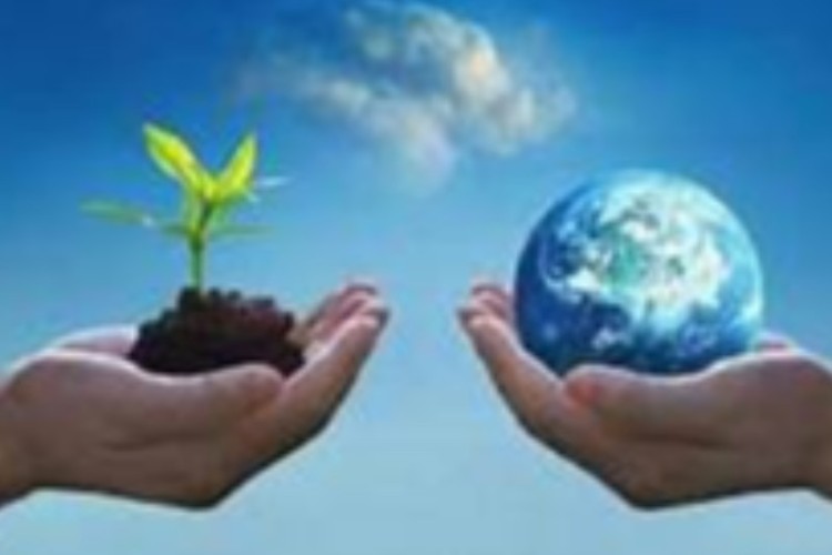 اخگر زاده: نحوه مراقبت صحیح از محیط زیست بعنوان یک امانت الهی است