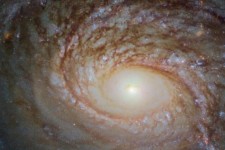 ئێستەیەو قەدیمیتەرین کاشکاشانێ پەپکەماری