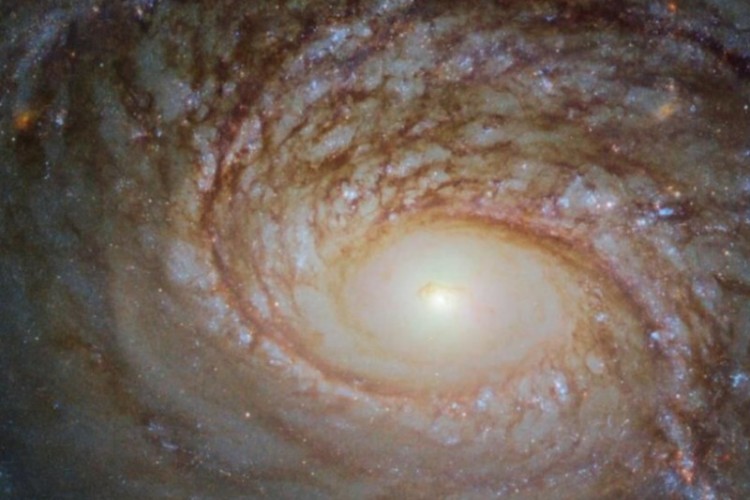 ئێستەیەو قەدیمیتەرین کاشکاشانێ پەپکەماری