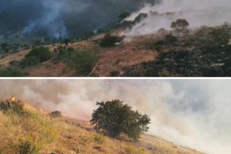 وقوع چند فقره آتش سوزی در مراتع شهرستان پاوه