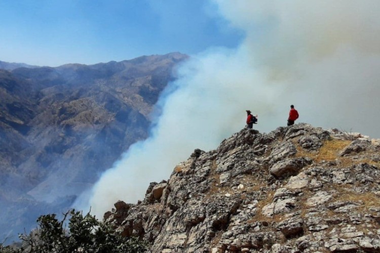 هشدار اداره منابع طبیعی و آبخیزداری در باره خطر آتش سوزی جنگل‌ها و مراتع در پی افزایش دما در روزهای آتی