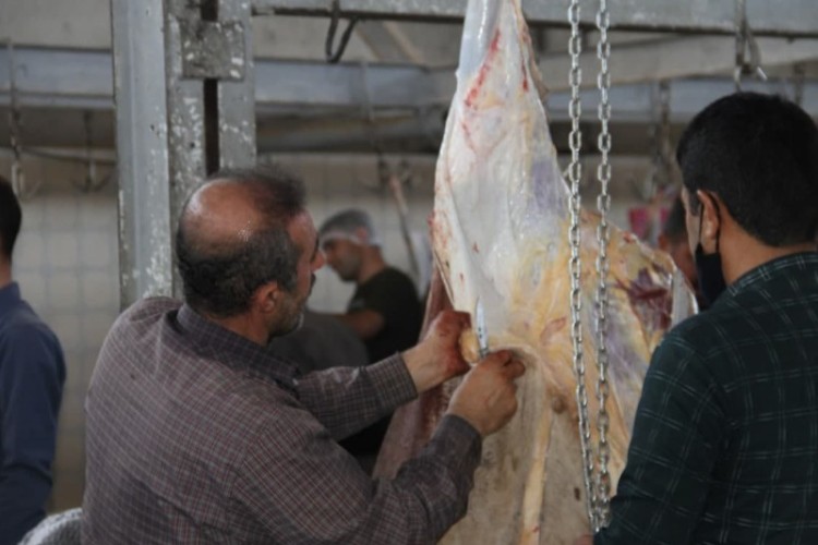 مراسم بزرگ قربانی در شهر بانه وره برگزار شد/ذبح بیش از ۴۰۰ راس دام در این مراسم