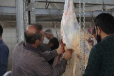 مراسم بزرگ قربانی در شهر بانه وره برگزار شد/ذبح بیش از ۴۰۰ راس دام در این مراسم