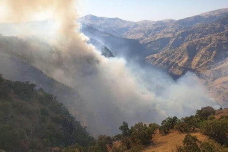 آتش سوزی جنگل های پاوه تاکنون مهار نشده است