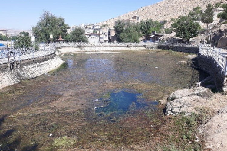 بخش زیادی از سراب روانسر خشک شده است