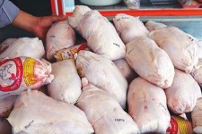 مرغ منجمد طرح تنظیم بازار در پاوه توزیع می شود