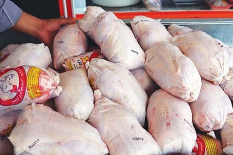 مرغ منجمد طرح تنظیم بازار در پاوه توزیع می شود