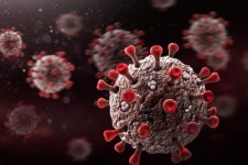 هم اکنون  ۶۲ نفر بر اثر ابتلا به کرونا در بیمارستان قدس پاوه بستری هستند