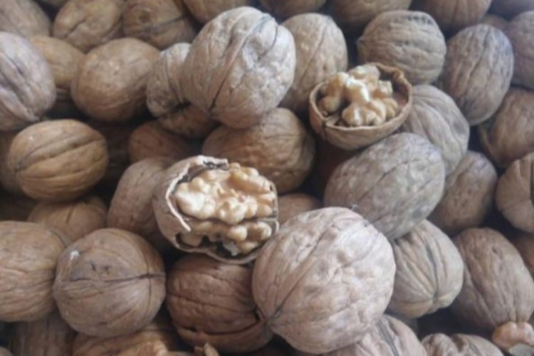 ئێساڵ۳۰%ێ جە سەمەرو وەزیو پاوەی کەم بیەن