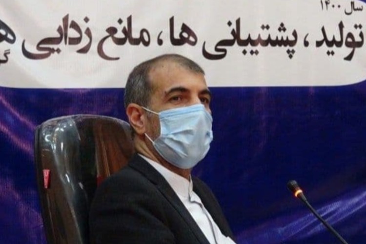 برای تنظیم بهتر بازار در پاوه ما نیازمند ایجاد بازار روز هستیم