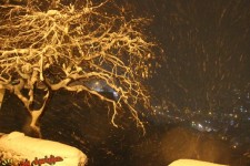 تصاویری بسيار زيبا از یک شب برفی در پاوه