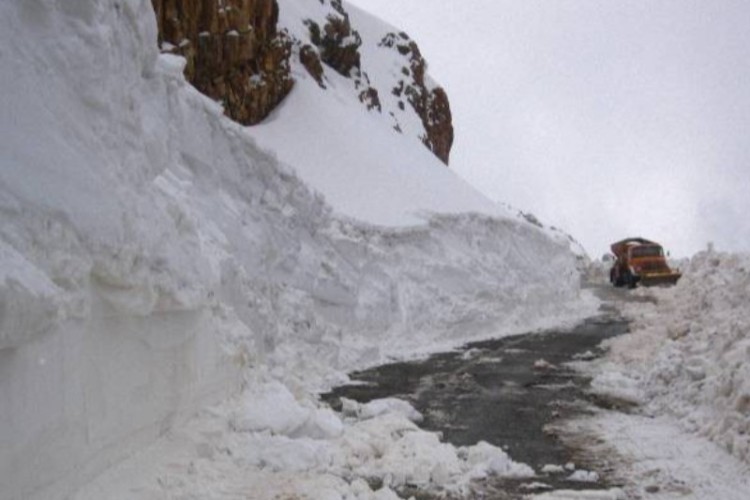 لزوم توجه بیشتر به دامداران نودشه در جاده هفت کشان