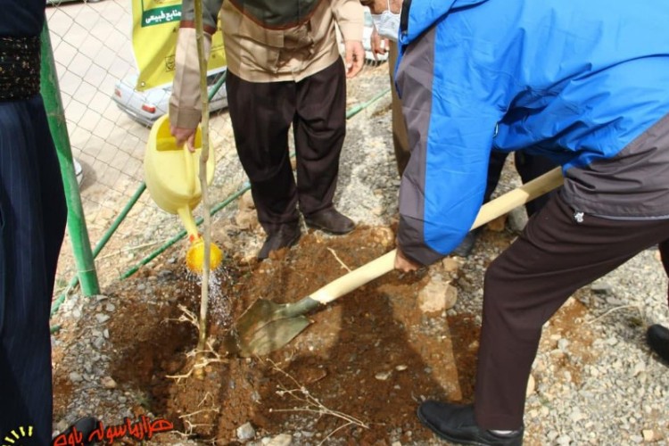 مراسم روز درختکاری در پاوه برگزار شد