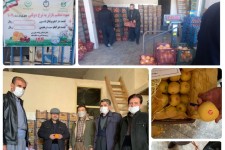 توزیع اولین محموله میوه تنظیم بازار در پاوه