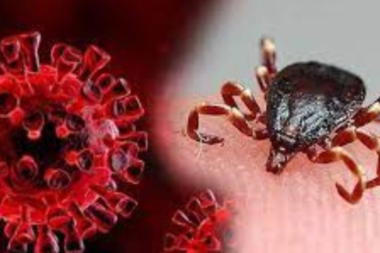 به مناسبت روز مبارزه با بیماری های مشترک انسان ودام