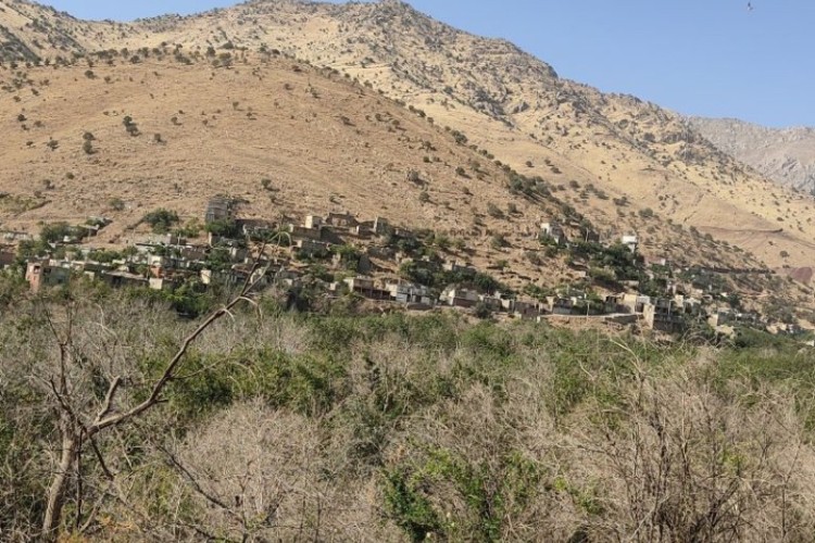 باغ های هانه گرمله و معضل بی آبی،خشکسالی، وحق آبه سد داریان