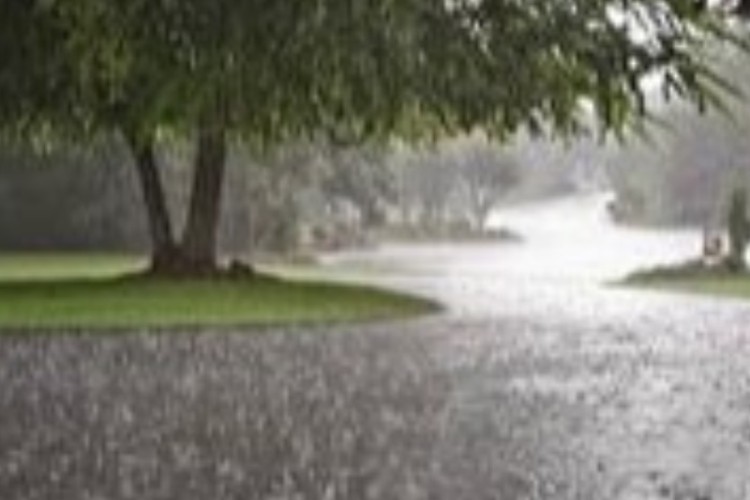 پاوه با ۴دهم میلیمتر کم بارش ترین نقطه استان در ۲۴ ساعت گذشته/بارش 10 سانتیمتری برف در ارتفاعات