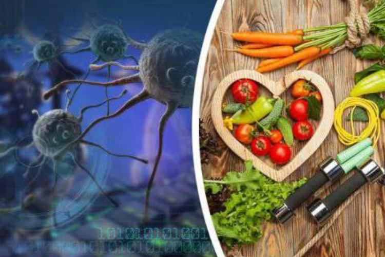 نقش تغذیه سالم در پیش گیری و حتی درمان عوارض سرطان