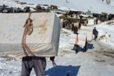 کوله سنگین بیکاری در مرزهای کرمانشاه/ راه ناهموار کوله‌بران کی هموار می‌شود؟