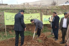 غرس نهال در روستای خانقاه پاوه