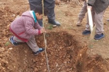 غرس 5 هزار اصله نهال در شهرستان