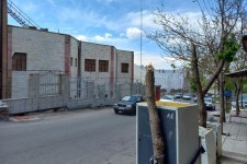 مجازات برای قاتلان اشجار و از بین بردن فضای سبز