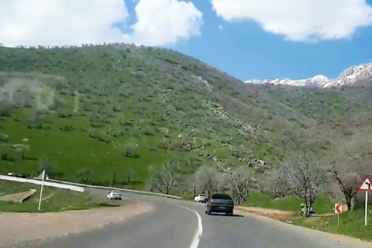 ناقوس مرگ و انفعال ما/ سلام خسروی