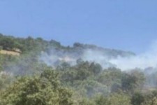 وقوع آتش سوزی در مراتع شوشمی پاوه