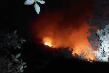 آتش سوزی مراتع دوریسان پاوه مهار شد