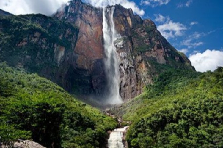 انجل؛بَرزتَرین وەزەنەو جهانی 