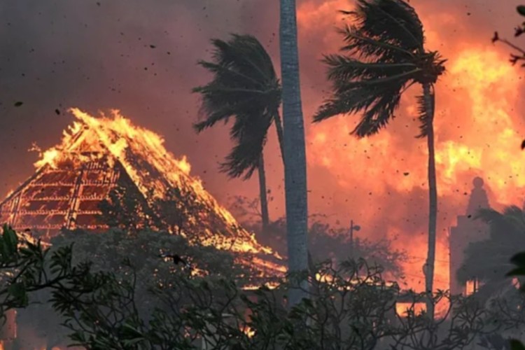 گڕ کەوتەنە هاوایی؛تا ایسە 111 کەسێ مەردێنێ