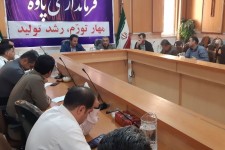 لزوم اقدامات سخت گیرانه پارک ممنوع در پاوه