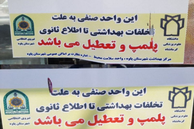 پلمپ ۴ مرکز عرضه مواد غذایی متخلف در پاوه