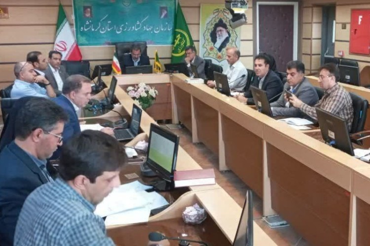 تصویب صدور مجوز و پروانه بهره برداری برای واحدهای دامداری غیر صنعتی در پاوه