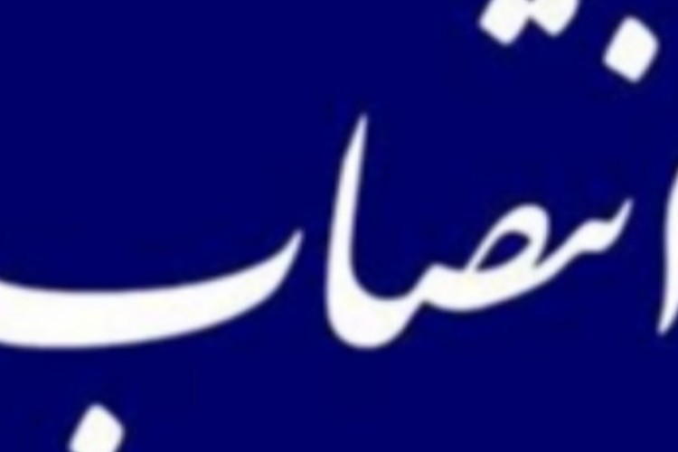 مدیر عامل شرکت صنایع شیمیایی نگین سنقر منصوب شد